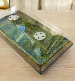 Best 2 1/2" Humidity Dome Seed Starting