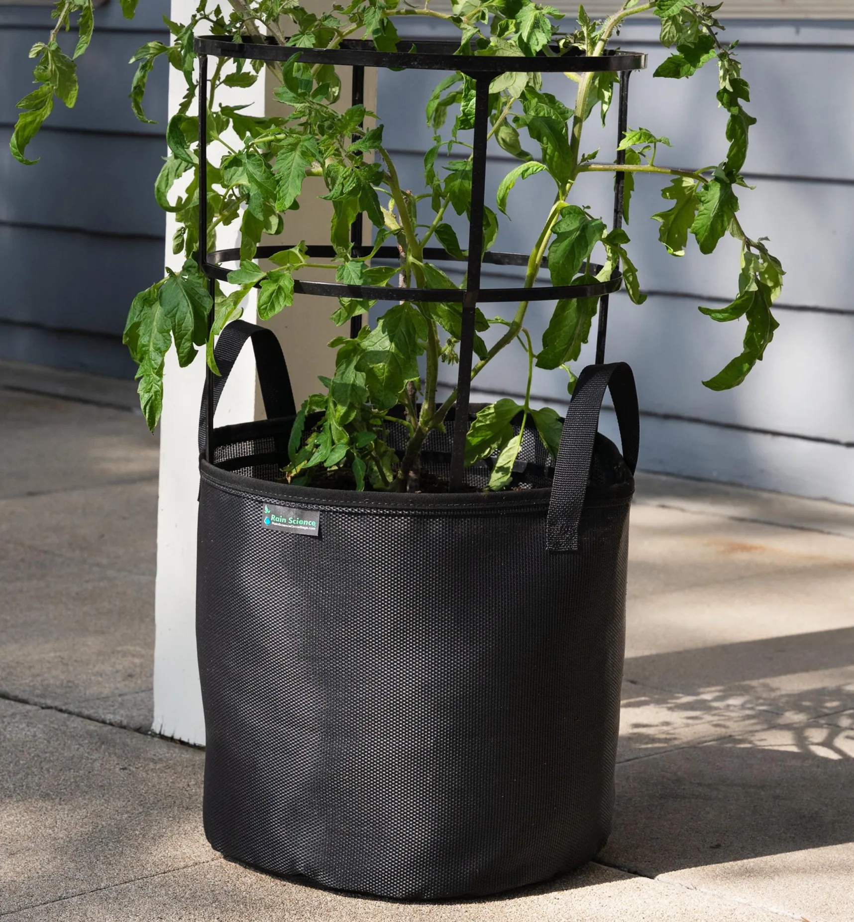 Best 7 Gallon Mesh Fabric Pot Container Gardening