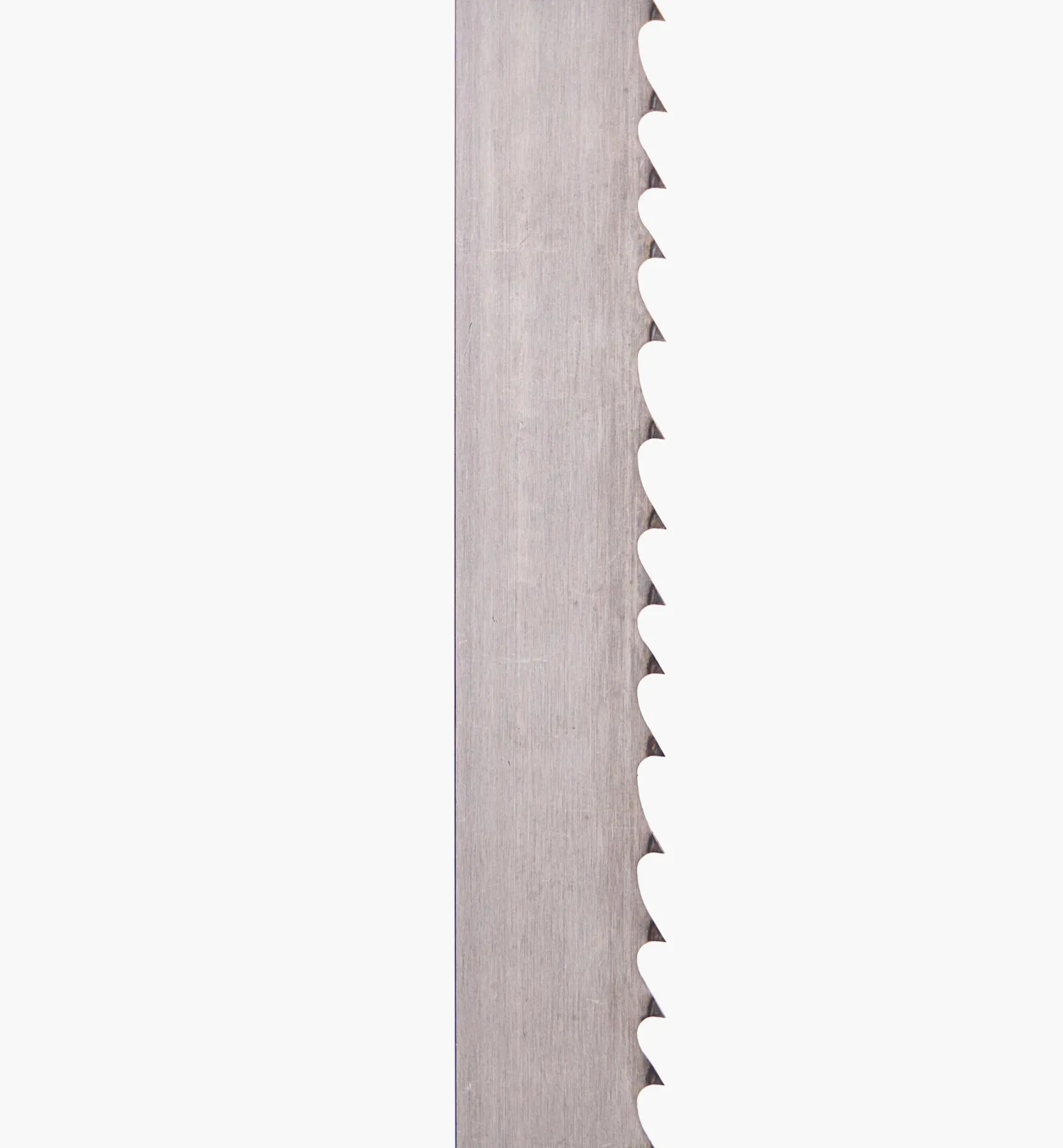 3/4" Wood Slicer Resaw Bandsaw Blades Power Tool Accessories