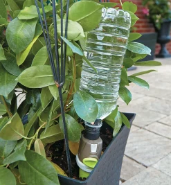 Best Adjustable-Flow Drip Spike Indoor Gardening