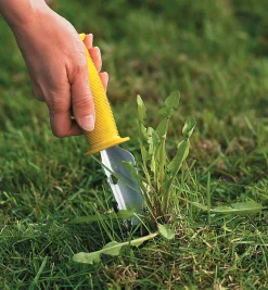 All-Purpose Lifetime Weeder Weeding