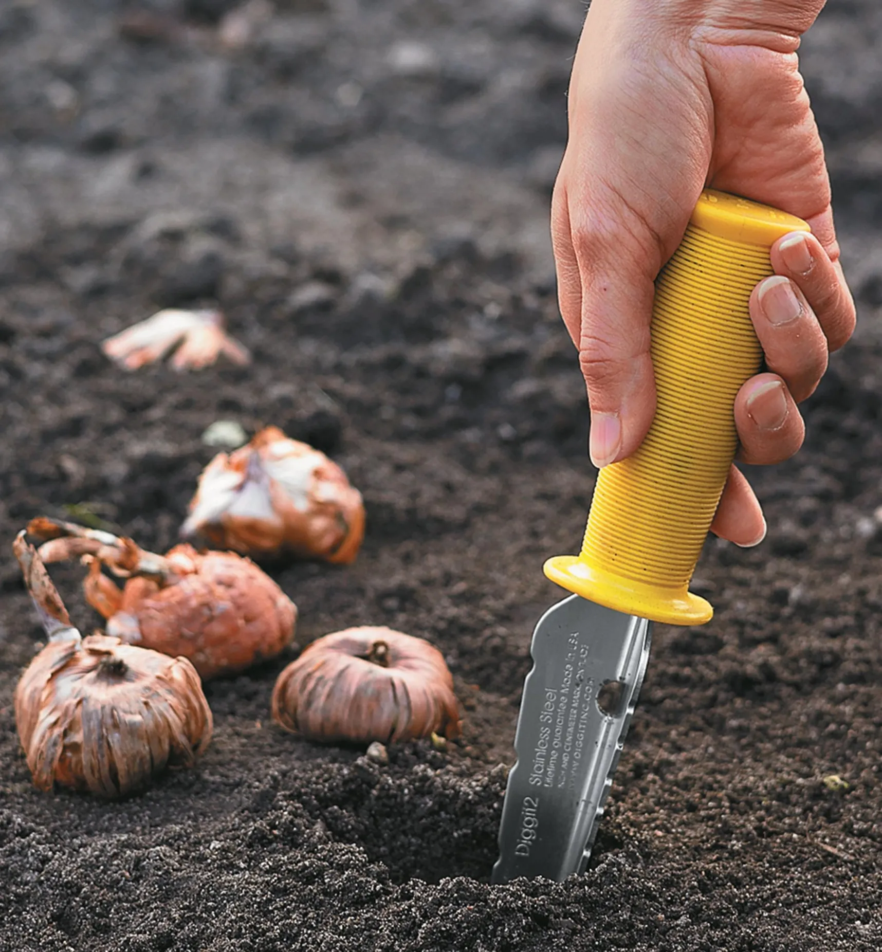 All-Purpose Lifetime Weeder Weeding