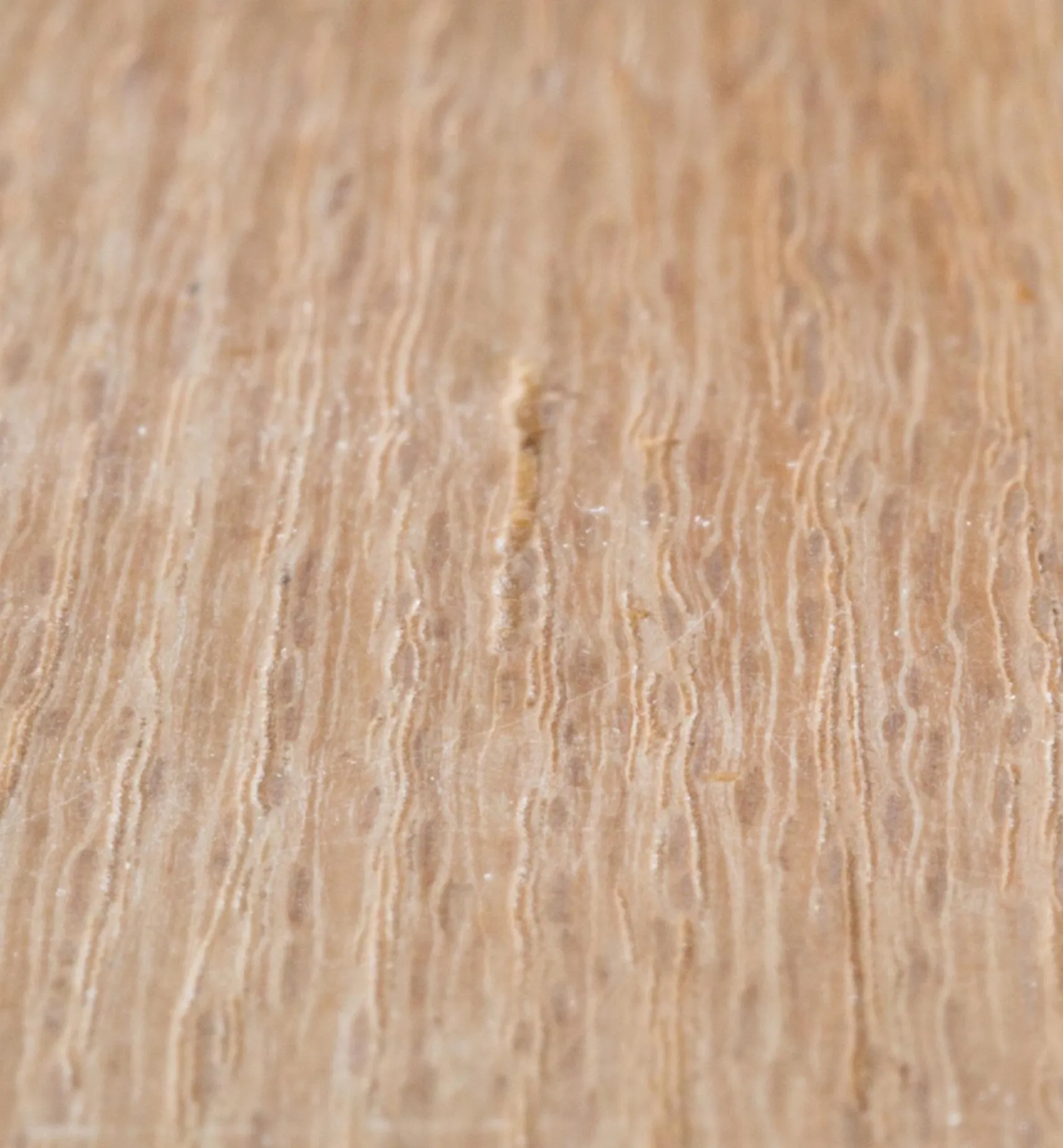 Sale Aqua Coat Wood Grain Filler Supplies