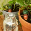 Sale Automatic Plant Waterers Indoor Gardening