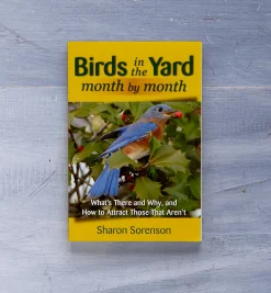 Online Birds In The Yard Month By Month Birding