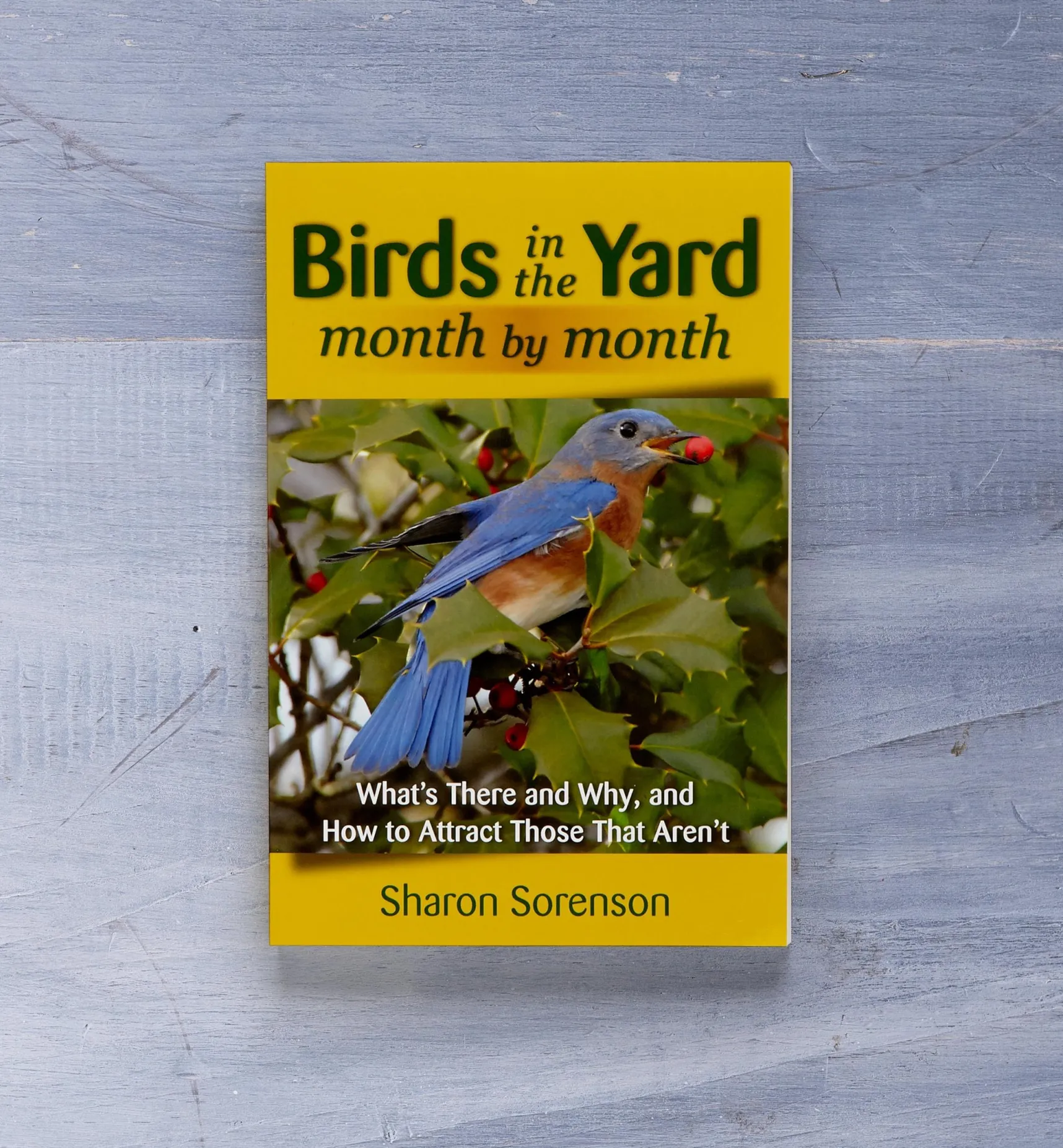 Online Birds In The Yard Month By Month Birding