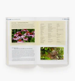 Online Birds In The Yard Month By Month Birding