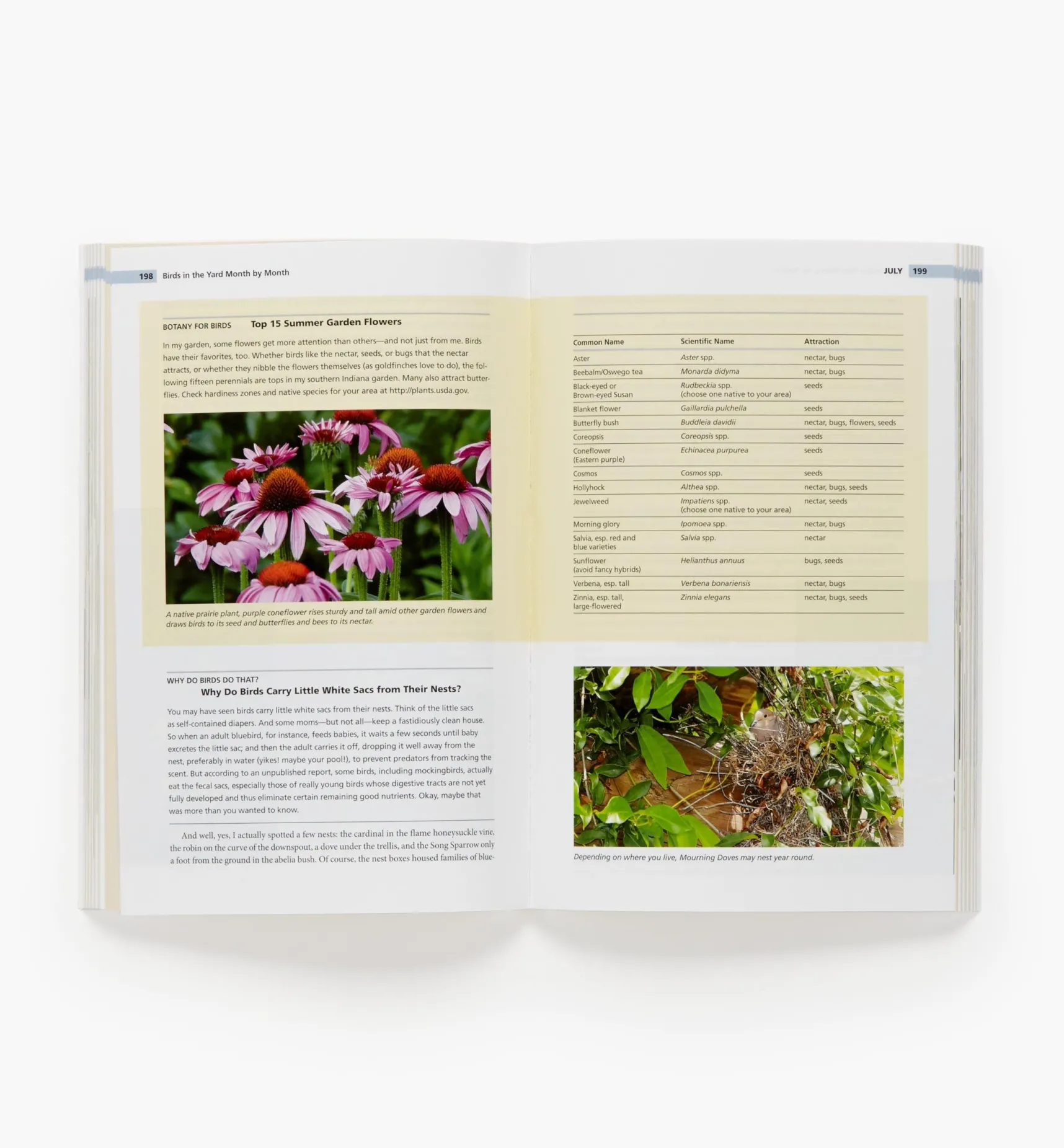 Online Birds In The Yard Month By Month Birding