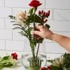 Clearance Blue Ribbon Flower Holder Indoor Gardening