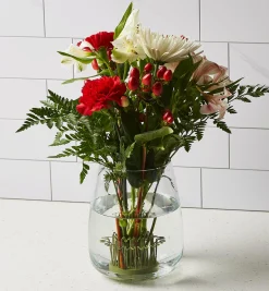 Clearance Blue Ribbon Flower Holder Indoor Gardening