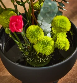 Clearance Blue Ribbon Flower Holder Indoor Gardening