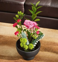 Clearance Blue Ribbon Flower Holder Indoor Gardening