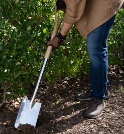 Online Border Spade Spades