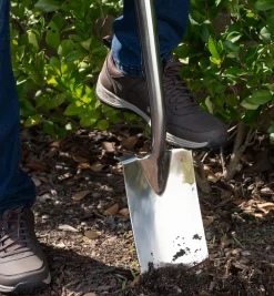 Online Border Spade Spades