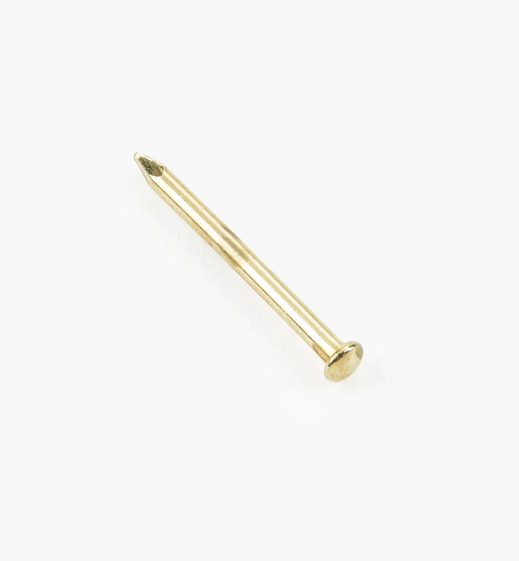 Brass-Plated Escutcheon Pins Fasteners