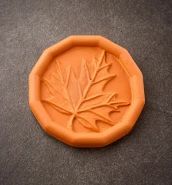 New Brown Sugar Saver Food Storage