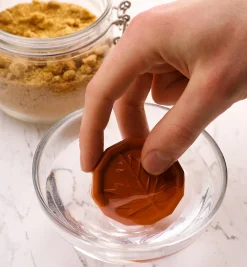 New Brown Sugar Saver Food Storage