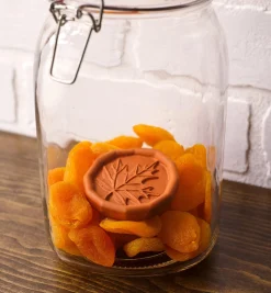 New Brown Sugar Saver Food Storage
