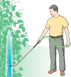 Best Bug Blaster & Water Wand Pest Control