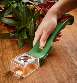 Online Bug Magnifier Office