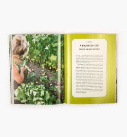 Discount Building Soil Composting|Composting