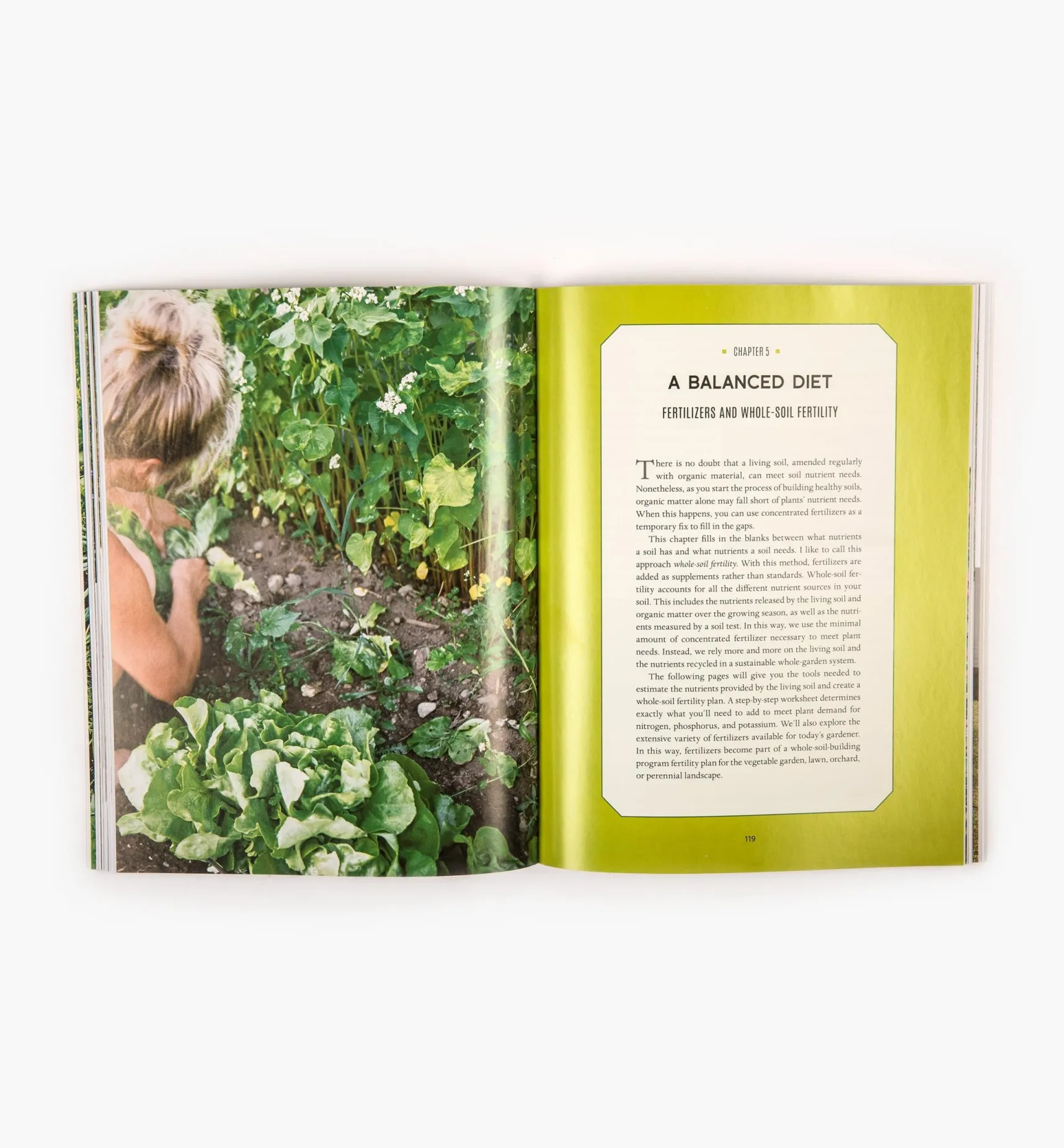 Discount Building Soil Composting|Composting
