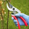 Online Castellari Curved-Anvil Pruner Pruners