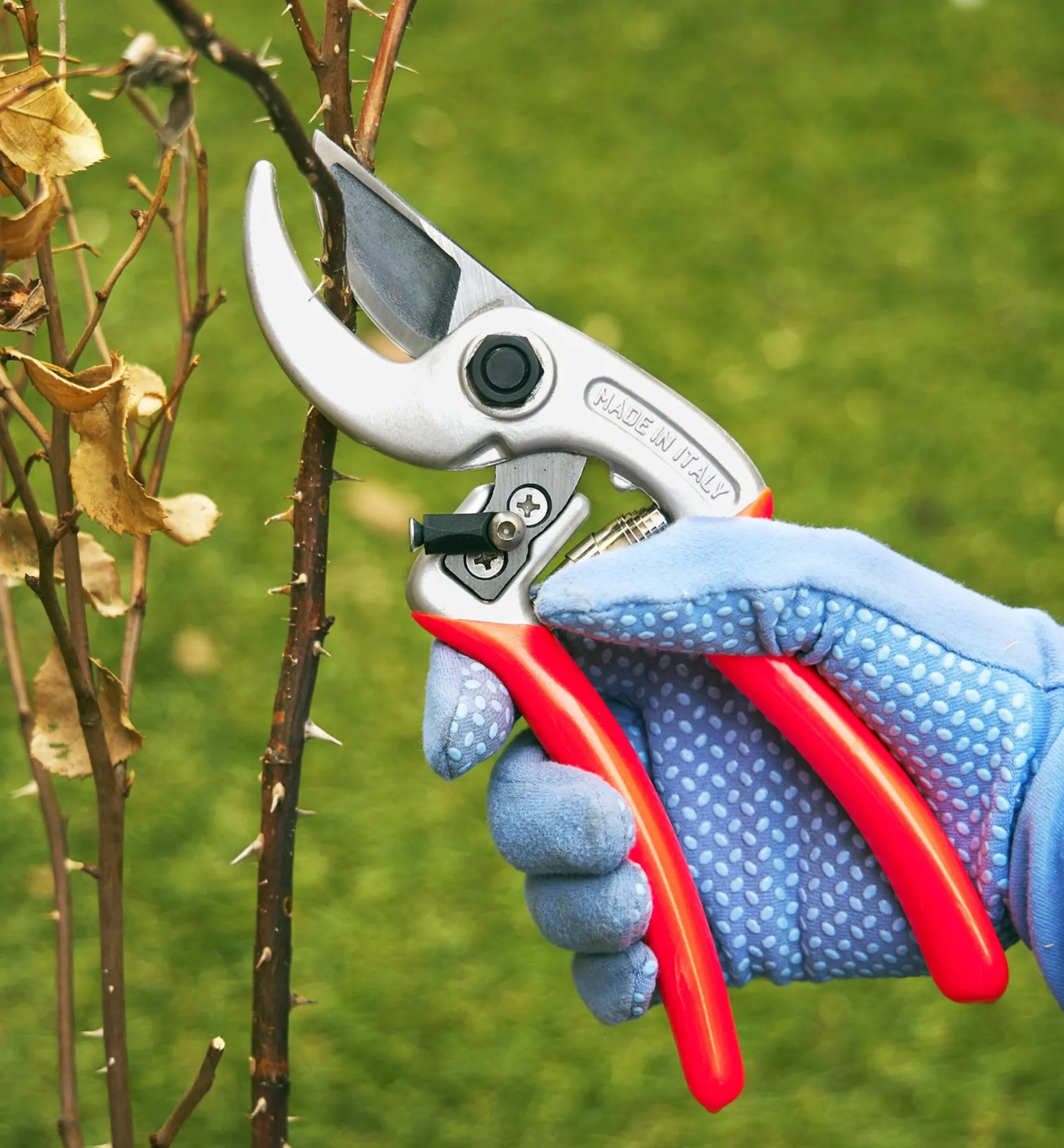 Online Castellari Curved-Anvil Pruner Pruners
