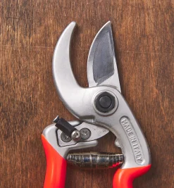 Online Castellari Curved-Anvil Pruner Pruners
