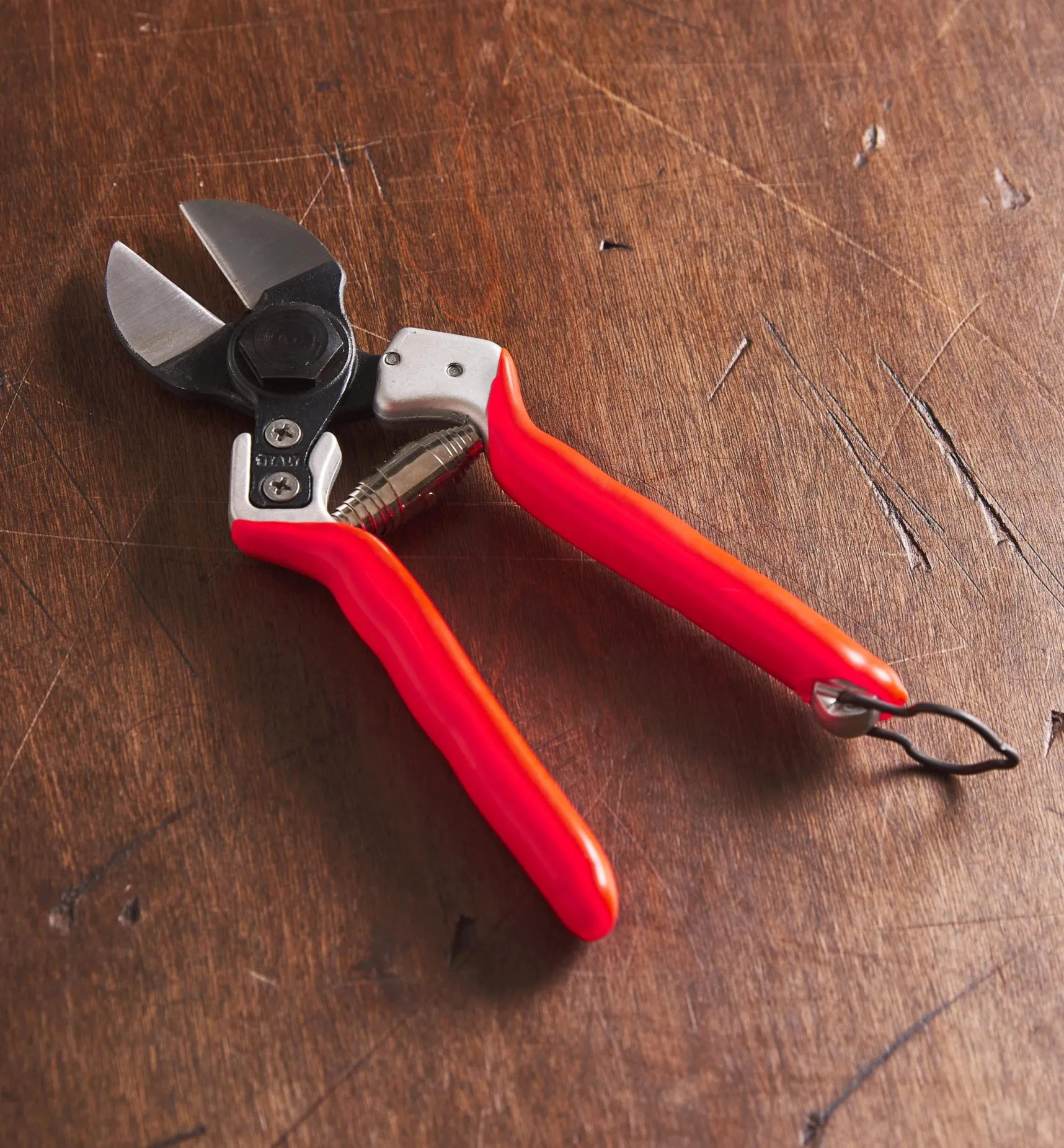 Clearance Castellari Double-Bladed Pruner Pruners