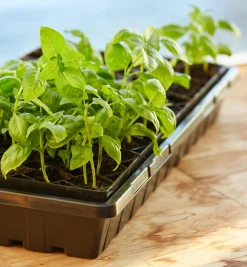 Hot 72-Cell Air-Pruning Seed Starter Seed Starting