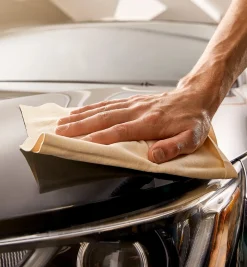Chamois Home Maintenance