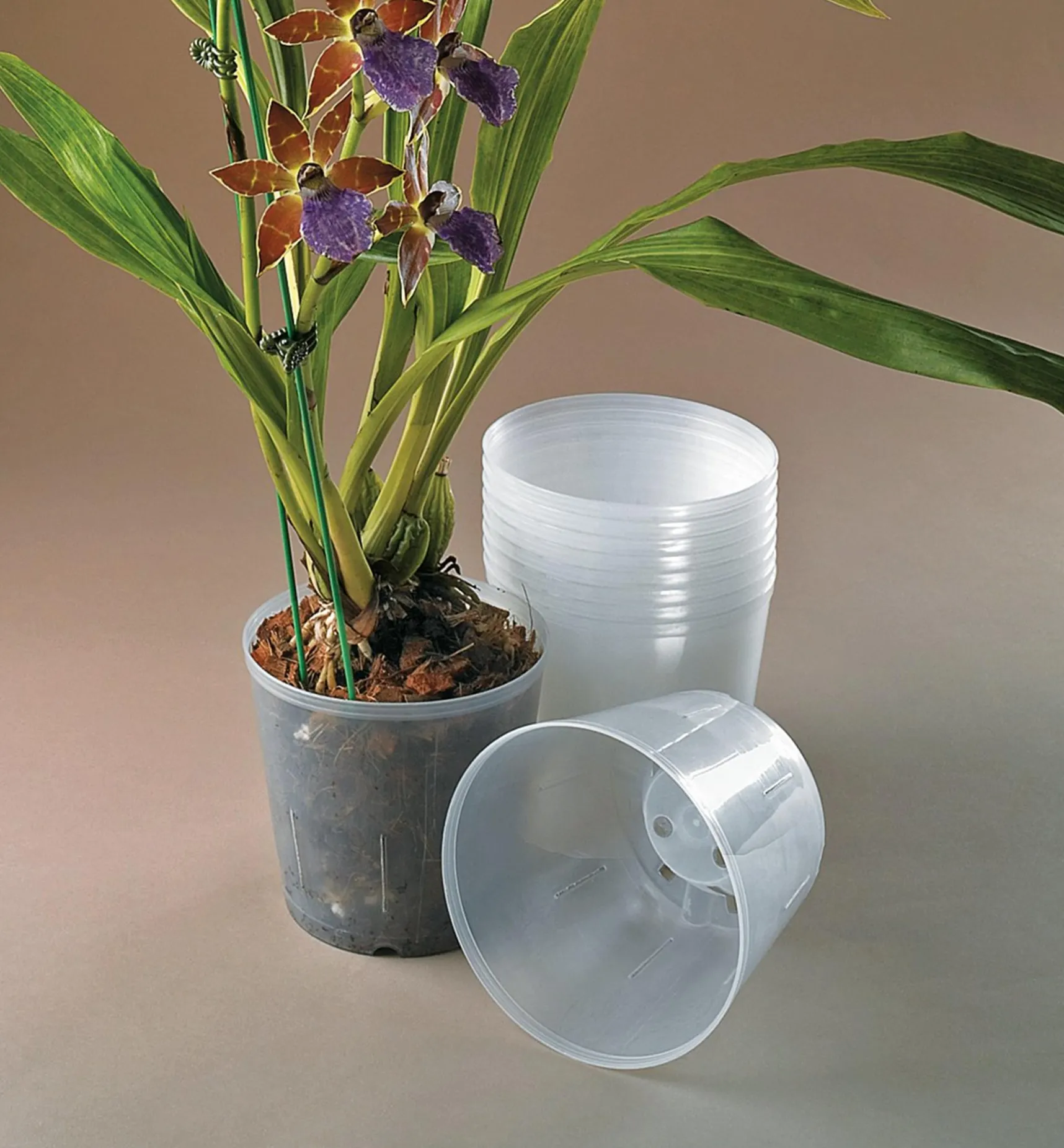 New Clear Orchid Pots Indoor Gardening