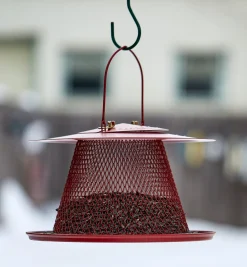 Outlet Collapsible Bird Feeder Birding