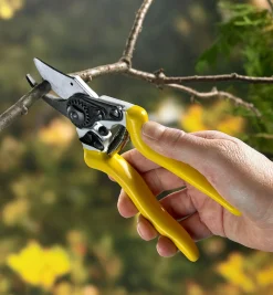 Clearance Complete Pruning Kit Garden Care
