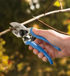 Clearance Complete Pruning Kit Garden Care