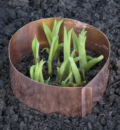 Clearance Copper Slug Rings Pest Control