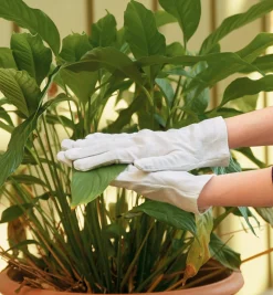 Cotton Utility Gloves Home Maintenance