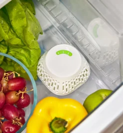 Discount Crisper Insert Food Storage