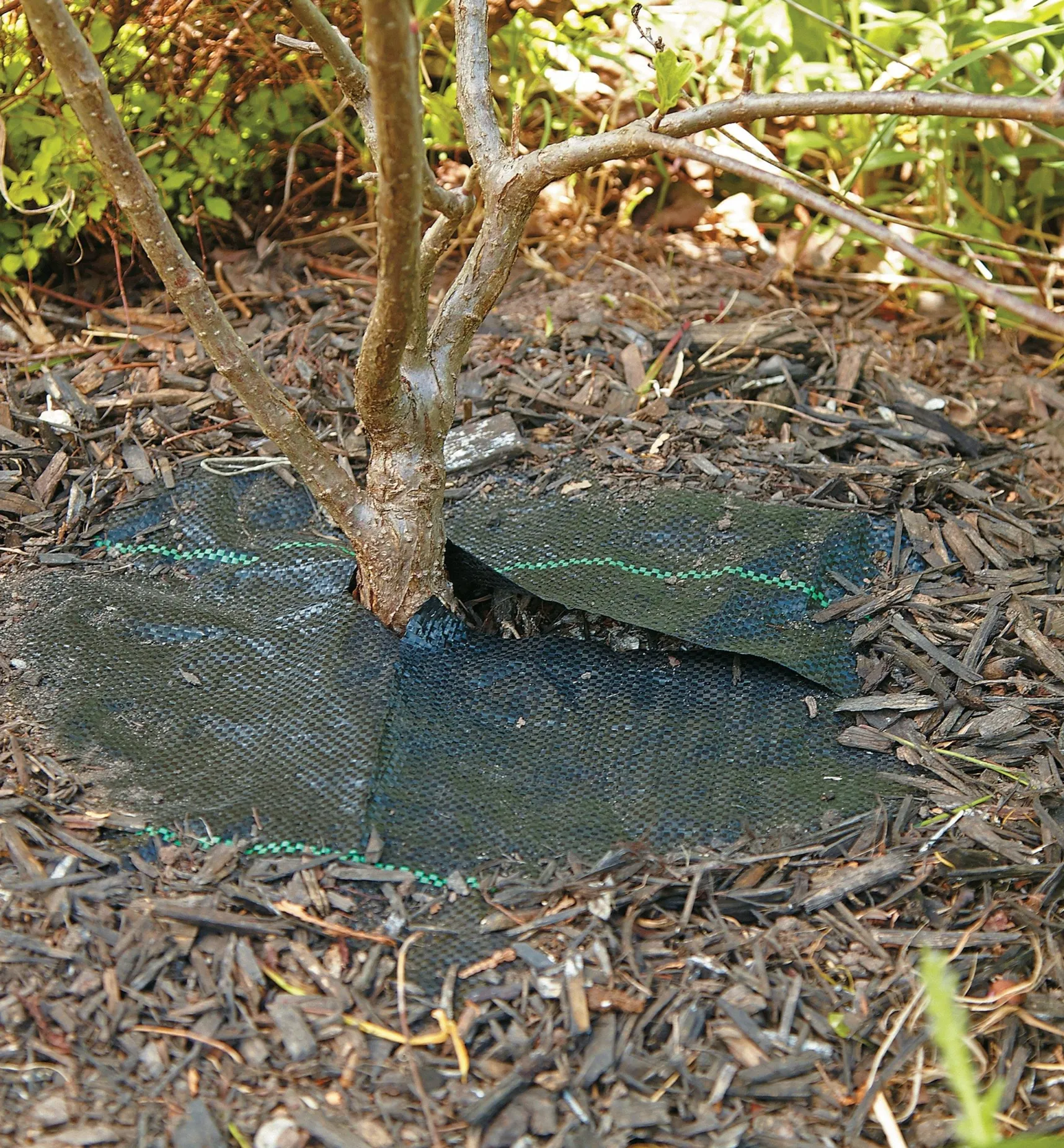 Crop Circles Weed-Barrier Mats Weeding