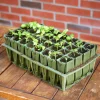 Sale Deep Rootrainers Set Propagation