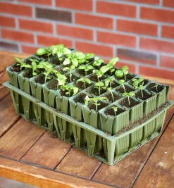 Sale Deep Rootrainers Set Propagation