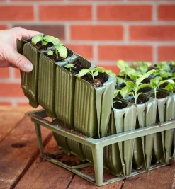 Sale Deep Rootrainers Set Propagation