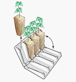 Sale Deep Rootrainers Set Propagation