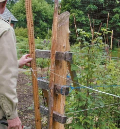 Outlet Deer Fence Pest Control