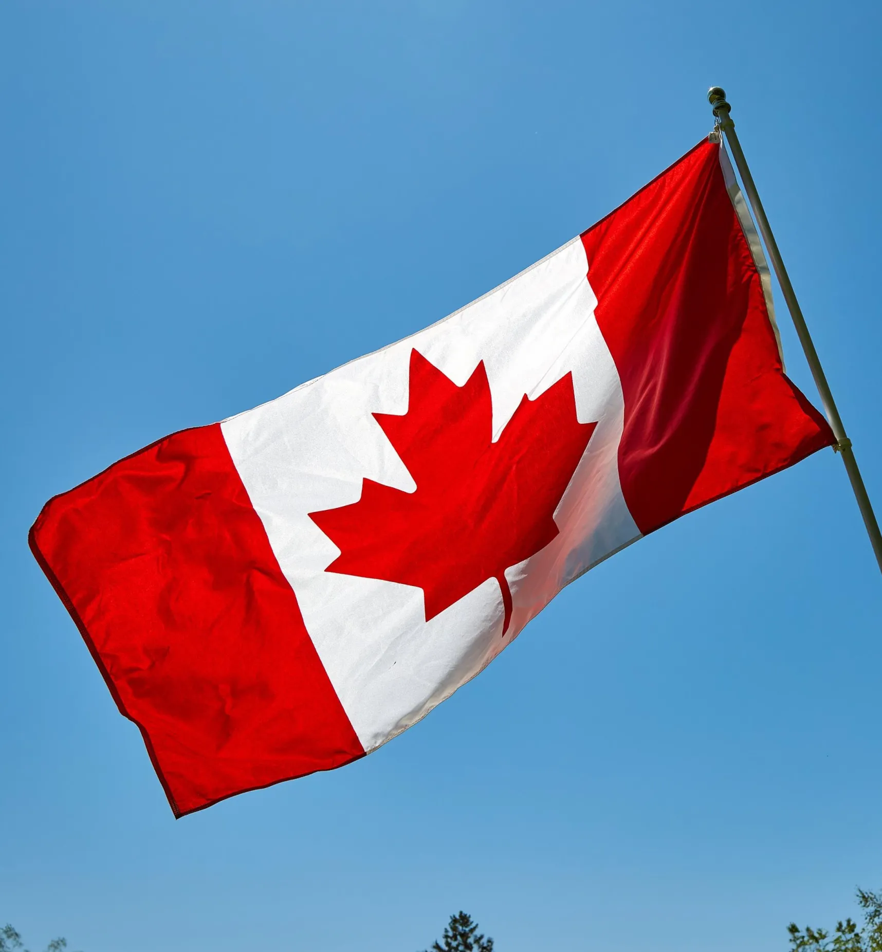 New Deluxe Canadian Flag Outdoor Living