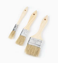 Best Disposable Natural-Bristle Brushes Supplies