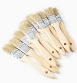 Best Disposable Natural-Bristle Brushes Supplies