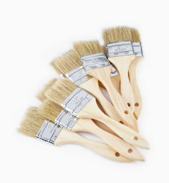 Best Disposable Natural-Bristle Brushes Supplies