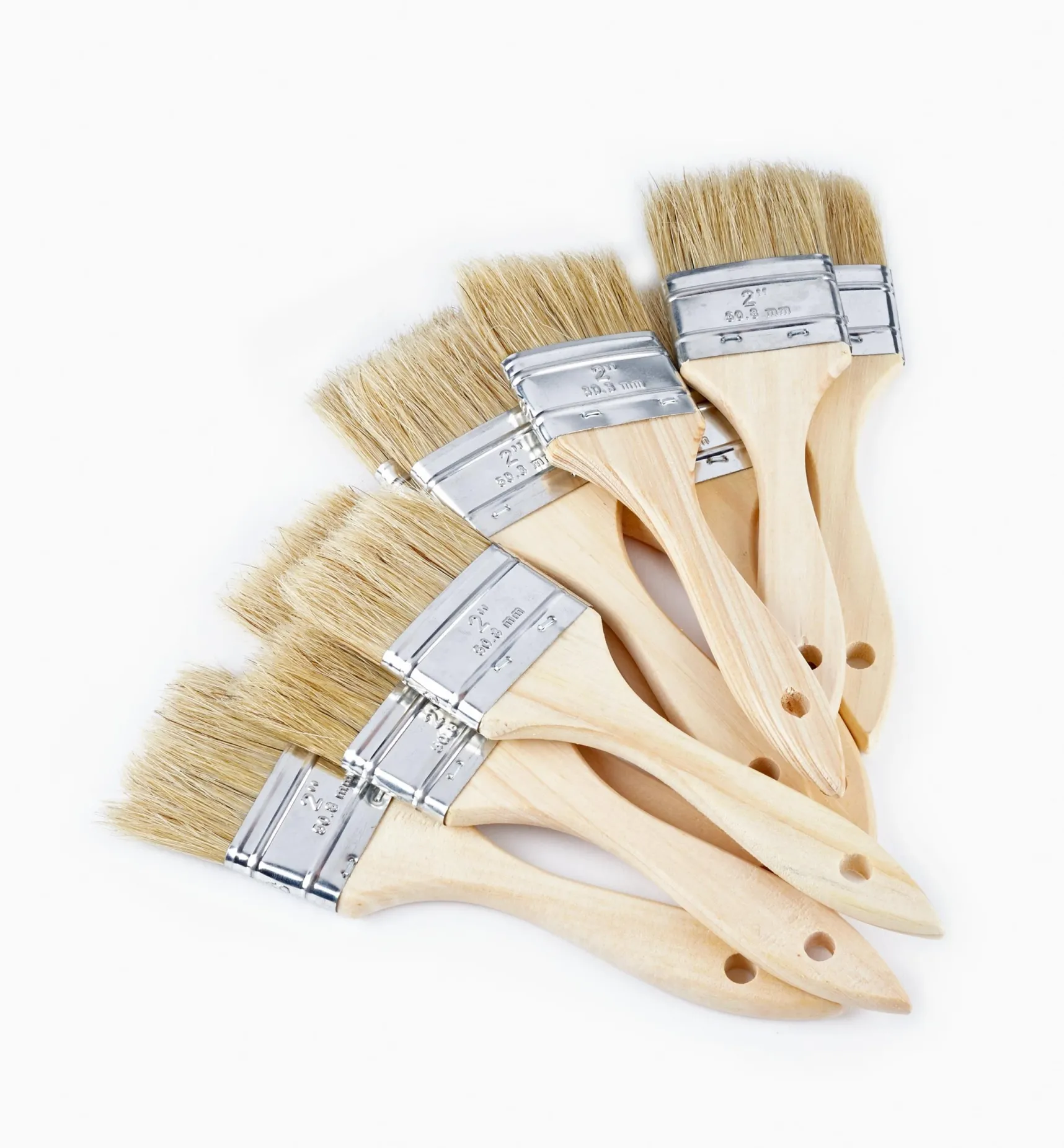 Best Disposable Natural-Bristle Brushes Supplies